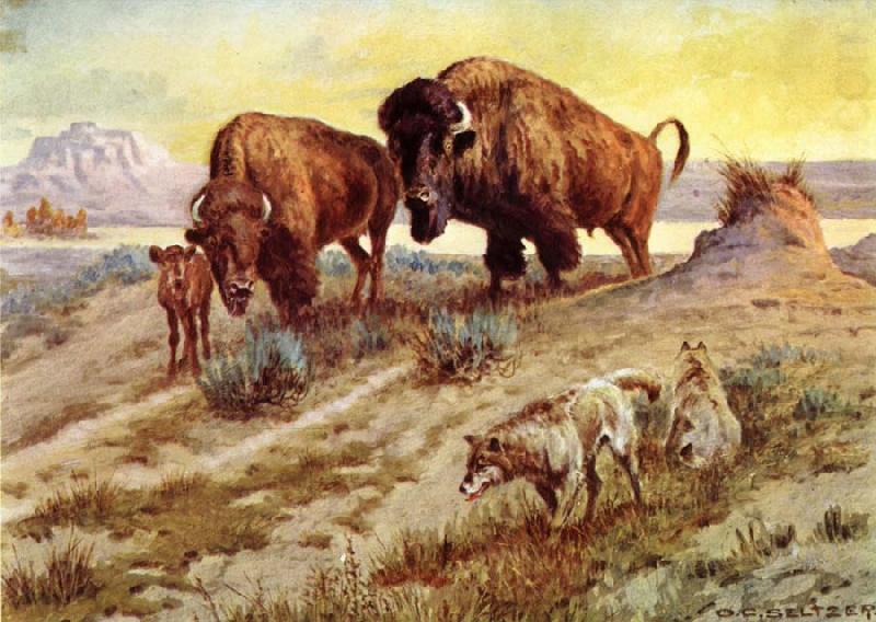 unknow artist Buffalo Family china oil painting image
